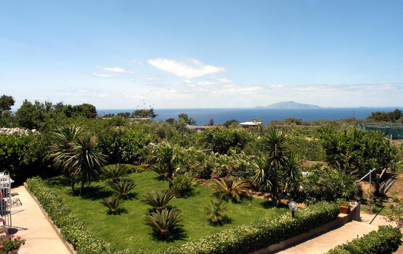 Villa Damecuta B&B Anacapri  Kültér fotó