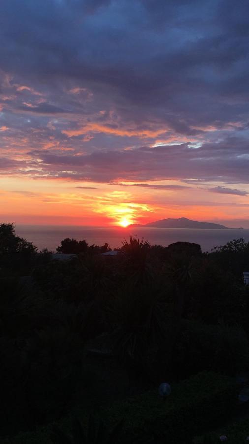 Villa Damecuta B&B Anacapri Kültér fotó
