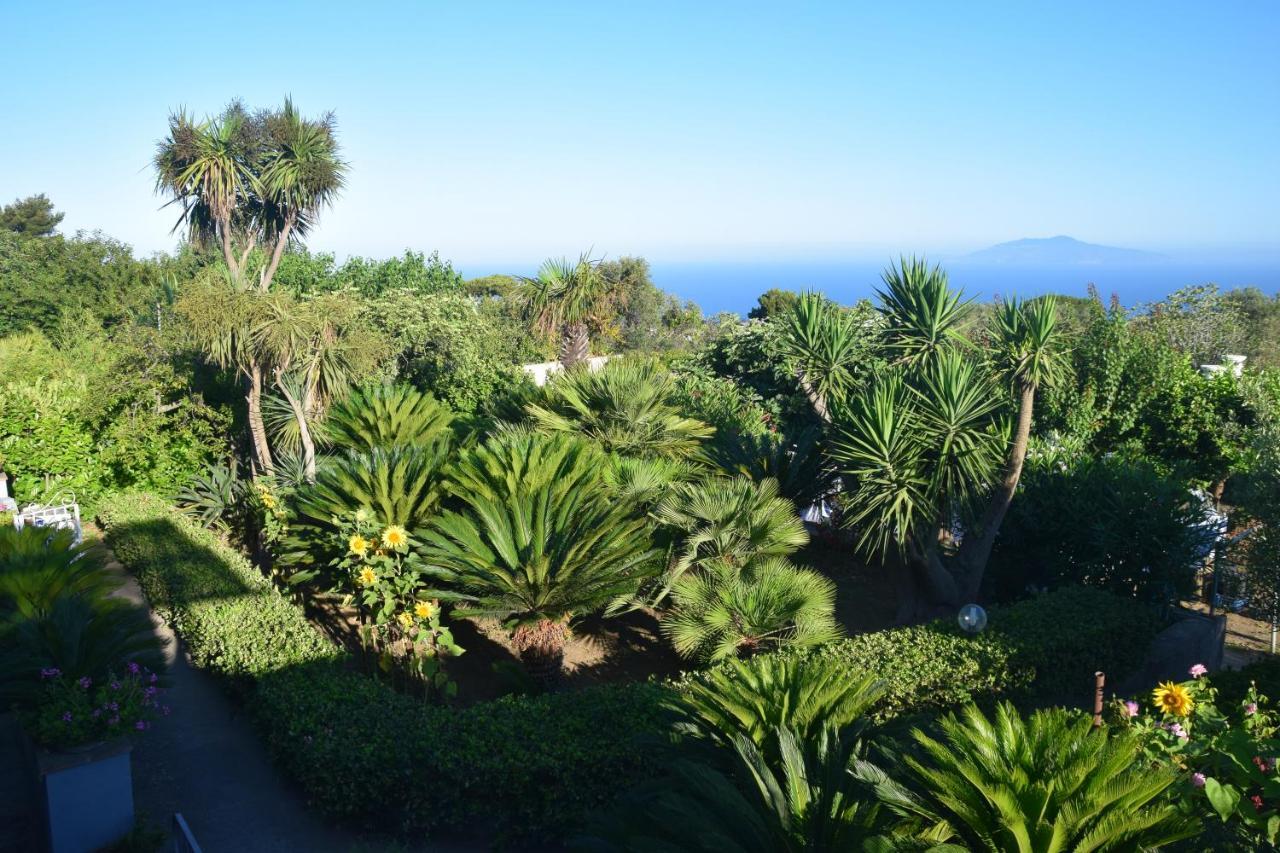 Villa Damecuta B&B Anacapri Kültér fotó